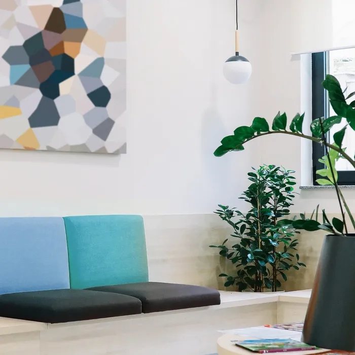 Modern dog daycare facility interior